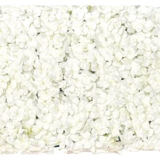 40x60cm樱花排