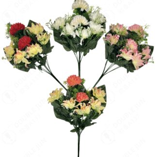 扇形百合菊