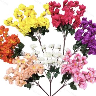 5叉小梅花