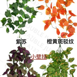 小壁挂