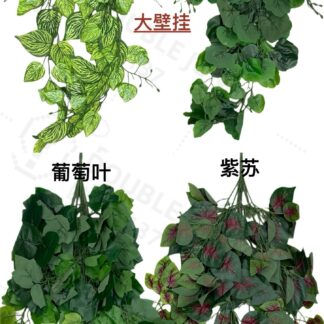 大壁挂